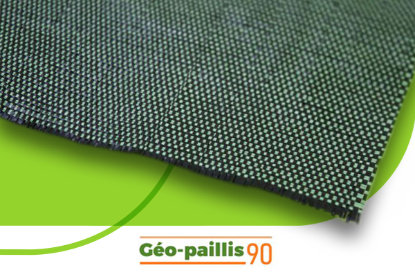 GEO PAILLIS 90